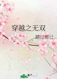 《穿越之无双》