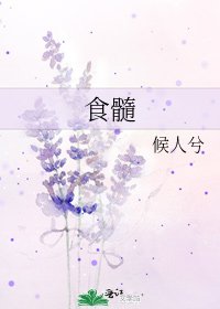 《食髓》
