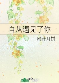 《自从遇见了你》