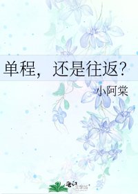 《单程,还是往返?》