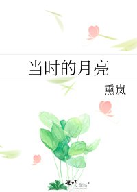 当时的月亮