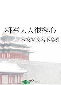 《将军大人很揪心》