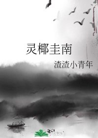 《灵椰圭南》