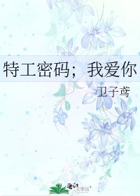 《特工密码;我矮你》