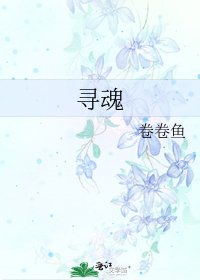 《寻魂》