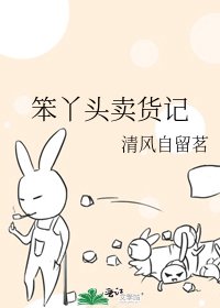 《笨丫头卖货记》