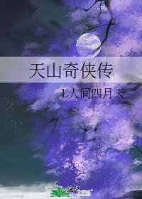 《天山奇侠传》