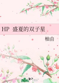 《HP 盛夏的双子星》