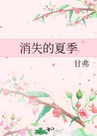 《消失的夏季》