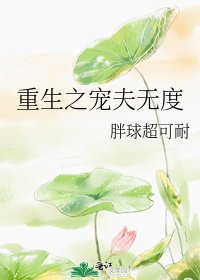 《重生之宠夫无度》