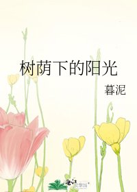 《树荫下的阳光》