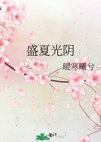 《盛夏光阴》
