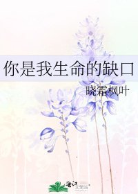 《你是我生命的缺口》
