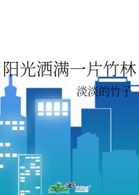 《阳光洒满一片竹林》