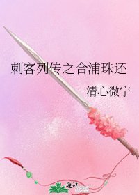 刺客列传之合浦珠还