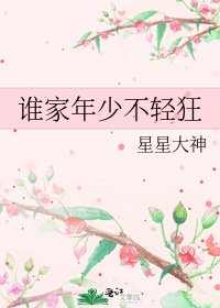 《谁家年少不轻狂》