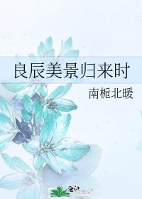 《良辰美景归来时》