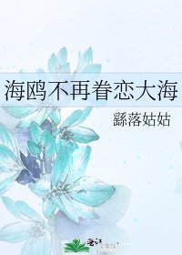 《海鸥不再眷恋大海》