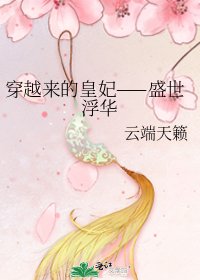 穿越来的皇妃——盛世浮华