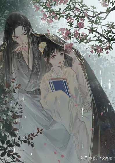 将军追妻特别菜