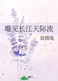 唯见长江天际流