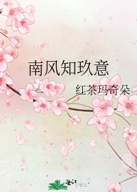 《南风知玖意》