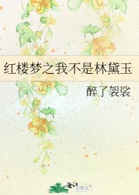 《红楼梦之我不是林黛玉》