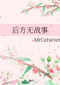 《后方无战事》