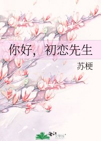 《你好,初恋先生》