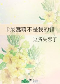 卡呆蠢萌不是我的错