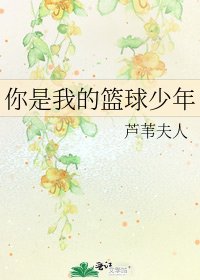 《你是我的篮球少年》