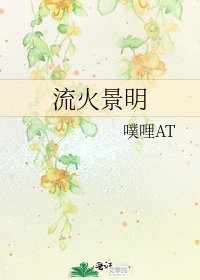 《流火景明》