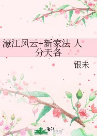 《濠江风云+新家法 人分天各》