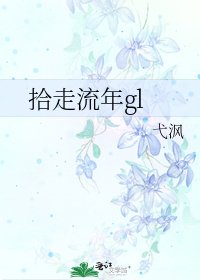 《拾走流年gl》