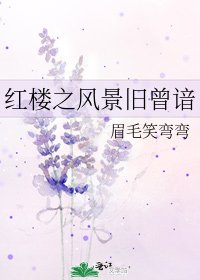 《红楼之风景旧曾谙》