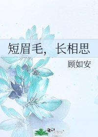 《短眉毛,畅相思》