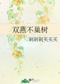 《双燕不巢树》