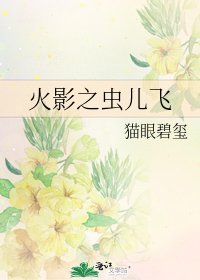 《火影之虫儿飞》