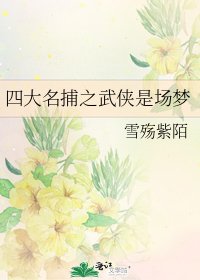 《四大名捕之武侠是场梦》
