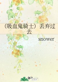 《(吸血鬼骑士)丢弃过去》