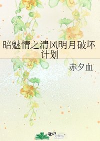 《暗魅情之清风明月破坏计划》
