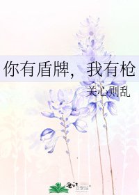 《你有盾牌,我有枪》