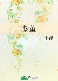 《紫堇》