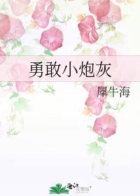 《勇敢小炮灰》