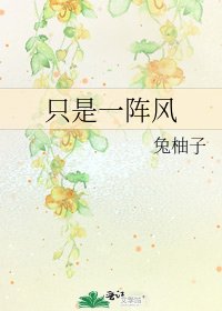 《只是一阵风》