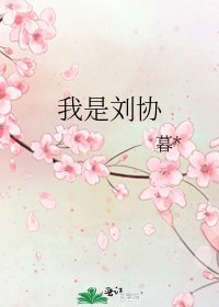 《我是刘协》