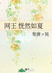 《网王 恍然如夏》