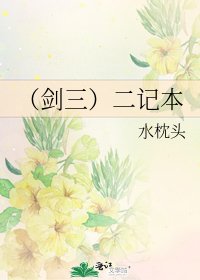 《(剑三)二记本》