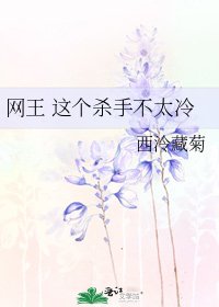 《网王 这个杀手不太冷》
