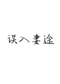 《误入妻途》